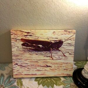 LAST CHANCE!! Signed Grasshopper Photo Wrapped Canvas Print